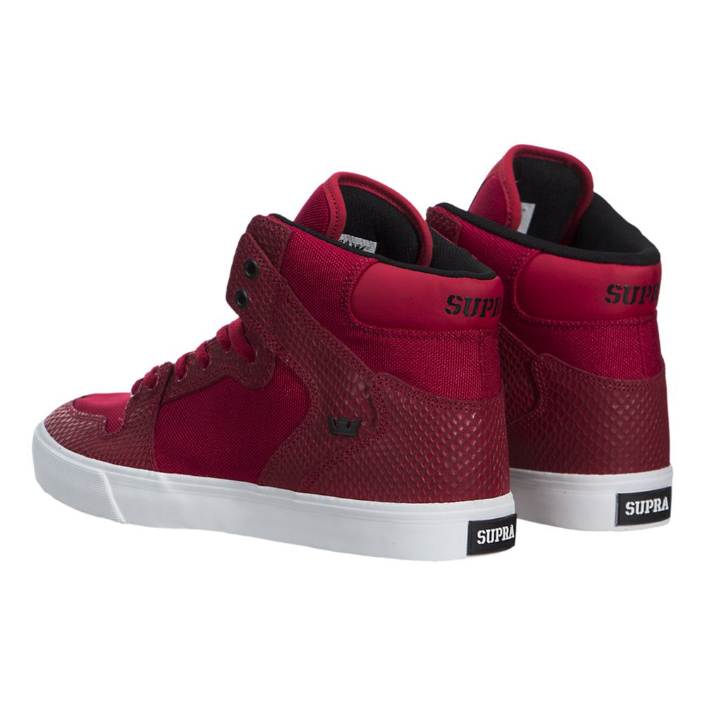 Baskets Montantes Supra Vaider Rouge Red/Snake-White Homme | VBY-02857140